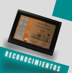 Captura de pantalla 2026-02-19 181602